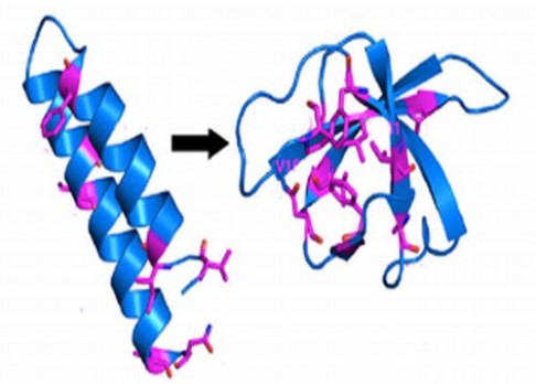 Protein s dvojí identitou