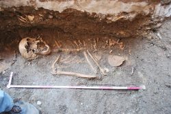 V Kadani nalezen středověký hřbitov