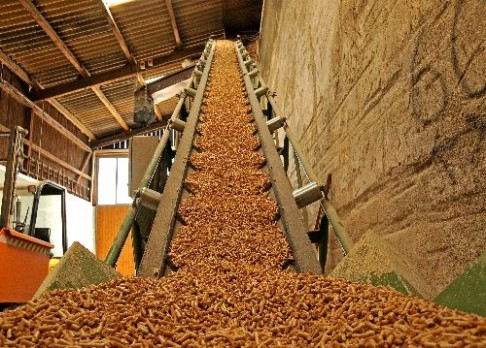 Jak usušit biomasu? V mikrovlnce!
