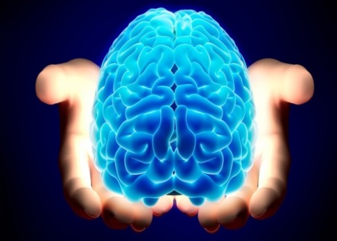 Lze přeprogramovat mozek?