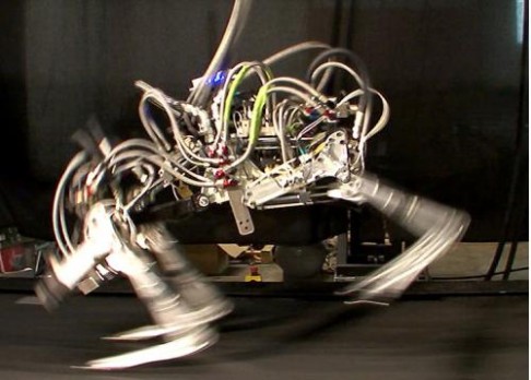 Čtyřnohý robot pokořil Usaina Bolta