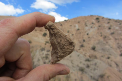 Andské Altiplano bylo před 13 miliony lety mnohem níž