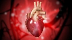 Kardiologové Na Homolce operovali srdce pomocí nové metody