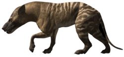 Objevena unikátní fosilie pravěkého predátora