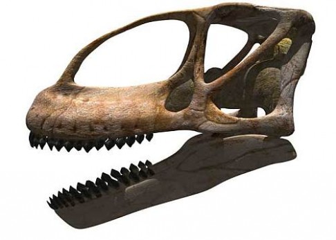 Objevena lebka největšího dinosaura