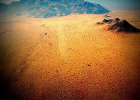 Jak vznikají záhadné kruhy v namibijské poušti?