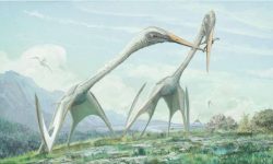 V Transylvánii objevena fosílie gigantického ptakoještěra