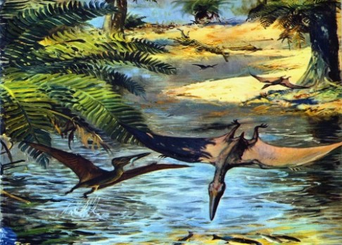 První ptáci létali už před 163 000 000 lety