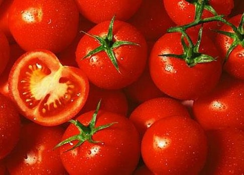 Proč jsou dnešní rajčata mdlé chuti?