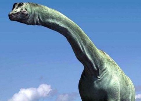 Proč máš tak dlouhý krk, dinosaure?