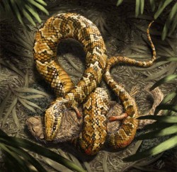 Objevena fosilie čtyřnohého hada
